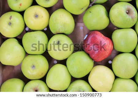 tray of green apples with one red one that\'s the odd one out