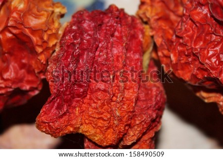 dried red pepper on string close up in Mexico