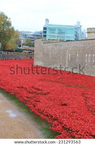 London, United Kingdom - 28th September 2014: Almost 900,000 ceramic poppies are installed at The Tower of London to commemorate Britain\'s involvement in the First World War.
