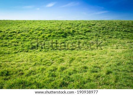 The Grass is always greener - Green grassy damm with blue sky