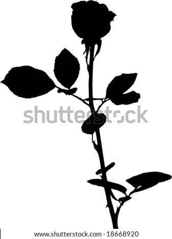 rose flower sketch. rose flower silhouette