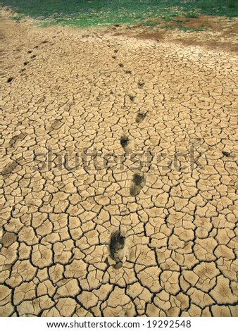 foot print on desert ground