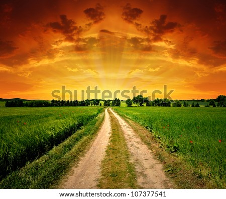 Field way in the sunset