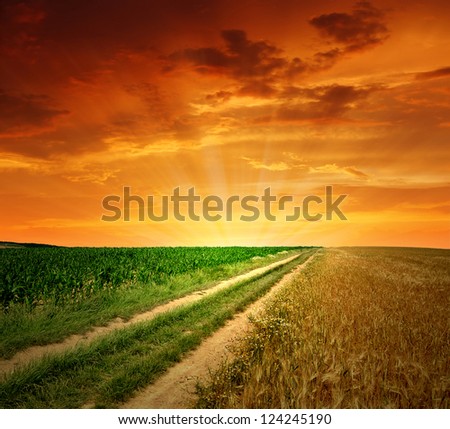 sunset above the field way