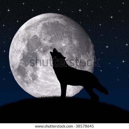 stock photo : wolf howling at