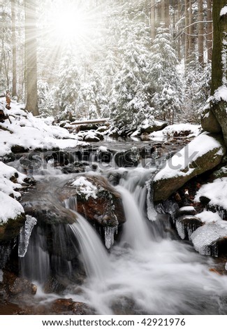 winter creek in the national park Sumava - Czech Republic