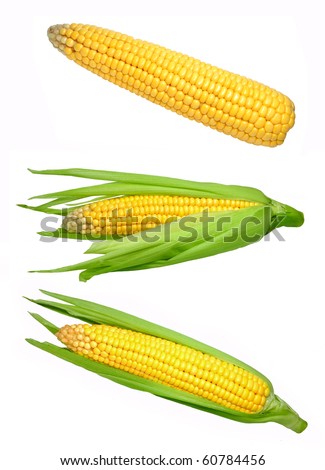 stock photo : Set of corn isolated on white background