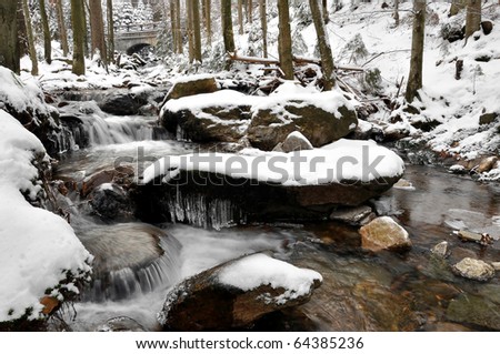 winter creek in the national park Sumava - Czech Republic