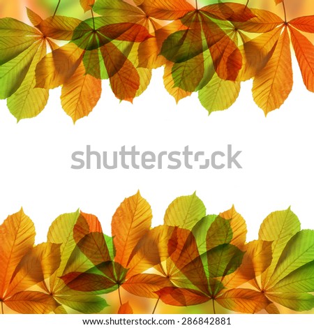 Frame from autumn leaves of chestnut tree