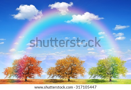 Seasonal trees with blue sky and rainbow