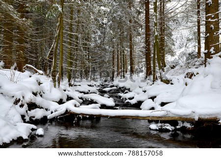 Winter creek in the National park Sumava, Czech Republic.