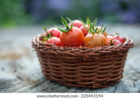 Cherry tomatoes in a small basket on an old wooden surface, space for text. Natural light, close up, selective focus, copy space.
