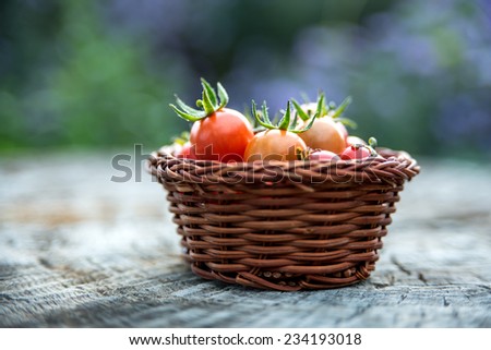Cherry tomatoes in a small basket on an old wooden surface, space for text. Natural light, close up, selective focus.