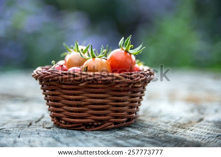Cherry tomatoes in a small basket on an old wooden surface, space for text. Natural light, close up, selective focus.