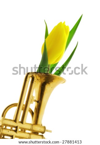 Trumpet Tulip