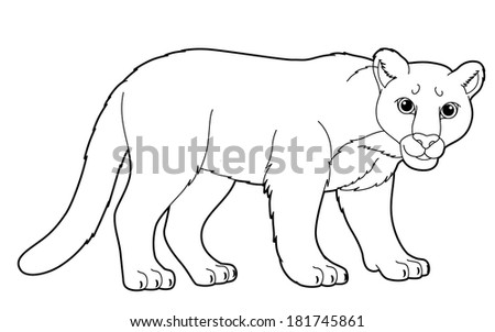 Cartoon Animal - Wild - Puma - Illustration For The Children