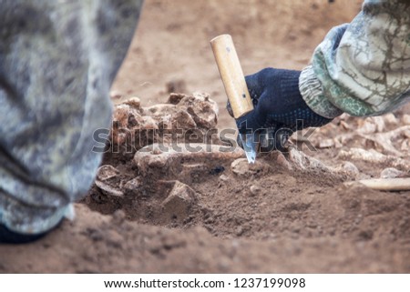 Archaeological excavation. The hands of archaeologist with tools conducting research on human bones, part of skeleton from the ground. Close up image of real process.