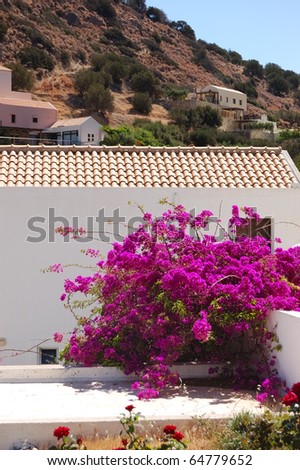 Luxury villa decorated with flowers, Crete, Greece