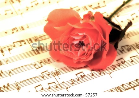 Photo of a FLower and Sheet Music With Blur Effect.