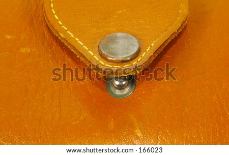 Leather Purse Snap