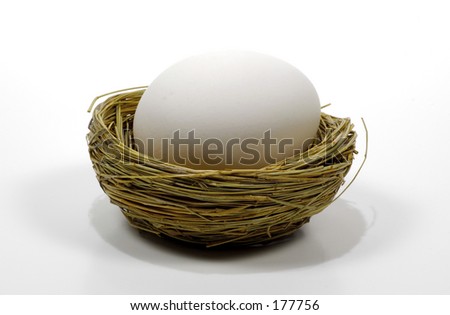 Nest and Egg on White Background.