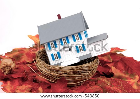 Nest Home