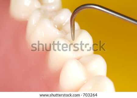 Photo of Teeth and a Dental Probe.  Dental Concept