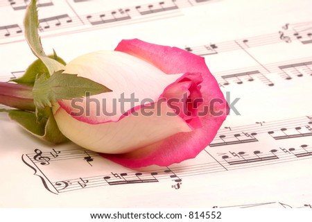 Sheet Music and a Pink Rose