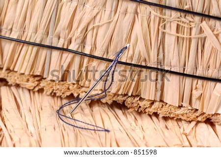 Photo of a Needle in a Haystack