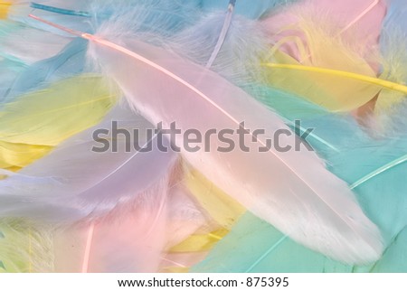 Photo of Pastel Colored Feathers