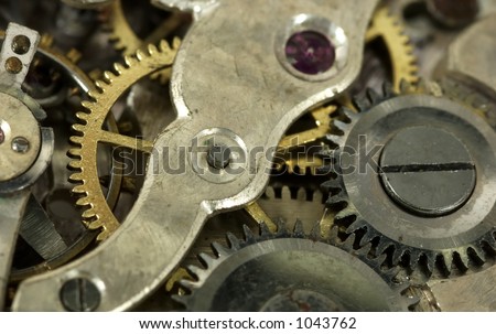 Macro Photo of a Watch Movements / Gears