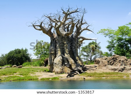Photo of an Odd Looking Tree