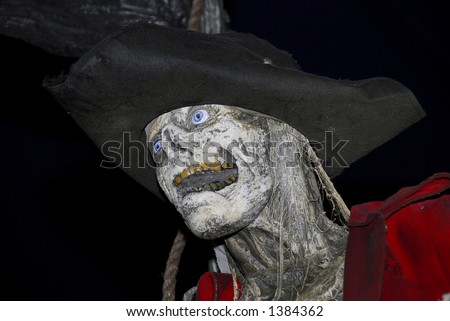 Photo of a Pirate Skeleton