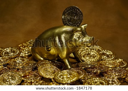 Photo of Gold Coins and a Brass Piggy Bank