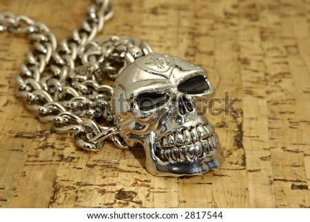 Photo of a Chrome Skull on a Chain