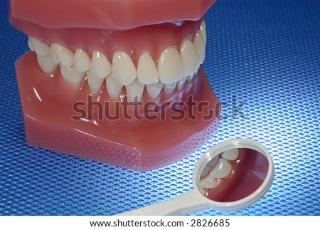 Photo of a Dental Model and Dental Mirror - Dentistry Related Items