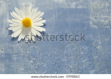 Photo of a Paper Flower on a Paper Background - Background / Texture