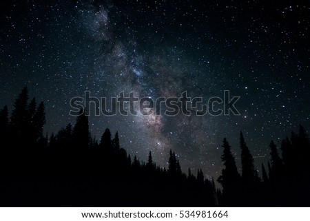 Milky Way glowing over a dark silhouetted forest.