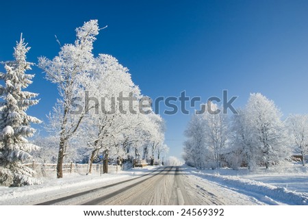 Frozen trees and snowy land road at winter, deep blue sky