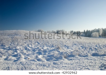 winter landscape with frozen trees and deep blue sky