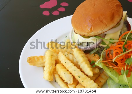 Hamburger Set Meal With French Fries and Salad