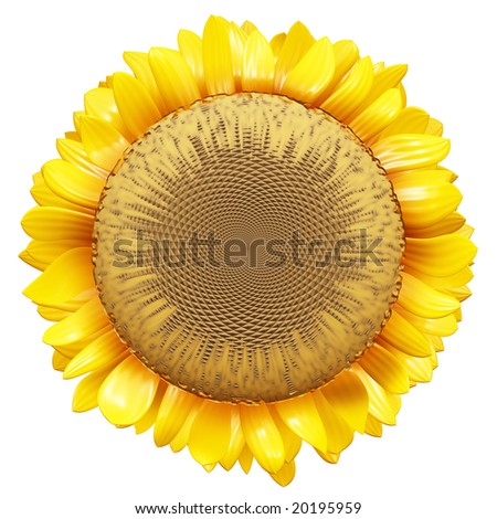 clipart sunflower. stencil design