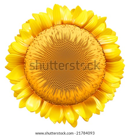 free clip art sunflower. free clip art sunflower. free