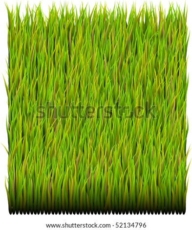 background patterns green. stock photo : Green Grass Patch Abstract Background Pattern Texture