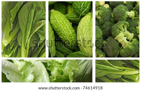 Green Vegetables for a Healthy Eating Lifestyle
