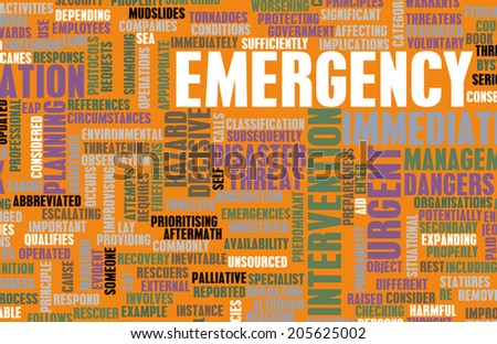 Emergency Planning and Disaster Response as Concept
