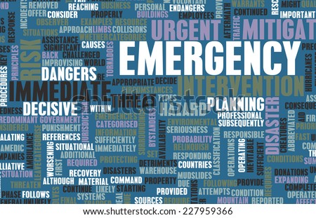 Emergency Planning and Disaster Response as Concept