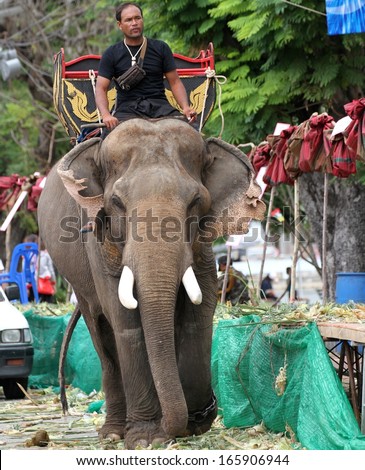 SURIN, THAILAND - NOVEMBER 15: A mahout riding his elephant at the Elephant breakfast for the Elephant Roundup festival in Surin, Thailand on the 15th November, 2013.