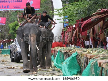 SURIN, THAILAND - NOVEMBER 15: Mahouts riding elephants at the Elephant breakfast for the Elephant Roundup festival in Surin, Thailand on the 15th November, 2013.