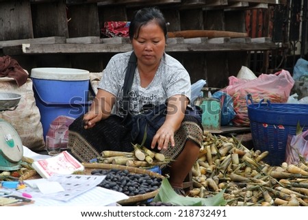 LUANG PRABANG, LAOS - AUGUST 15: A local hill tribe woman selling produce at the local market in Luang Prabang, Laos on the 15th August, 2014.